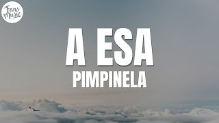 PIMPINELA - A ESA (Letra/Lyrics)