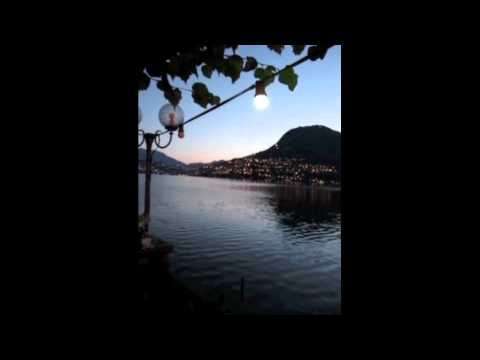 Mushrooms Project @ diploma party