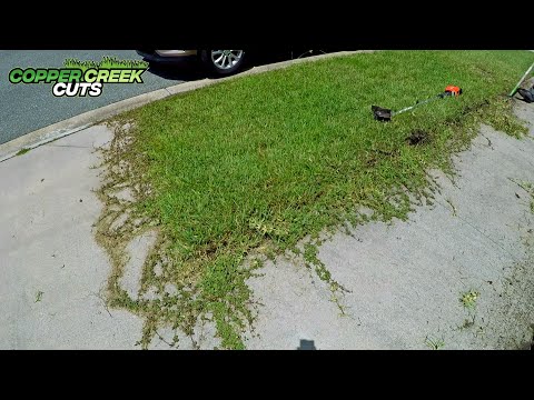 image-What is a grass cutter slang?