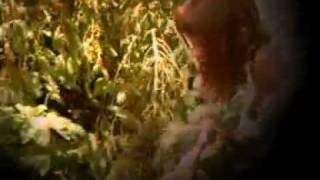 E Rotic - Queen of light