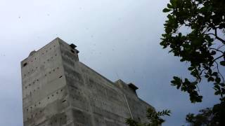 Nhà yến Bình Phước,yến sào cung đình Thiên Phú Lộc