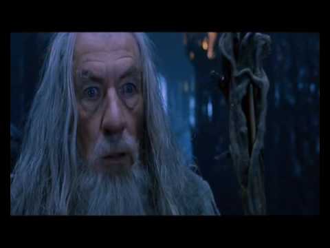 Le Seigneur des Anneaux, La Communauté de l´Anneau - Gandalf et Saruman