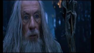 Le Seigneur des Anneaux, La Communauté de l´Anneau - Gandalf et Saruman