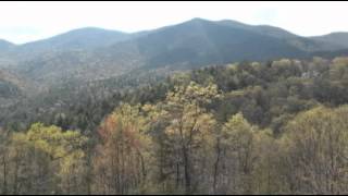 preview picture of video 'Springtime in the north Georgia Mountains.flv'