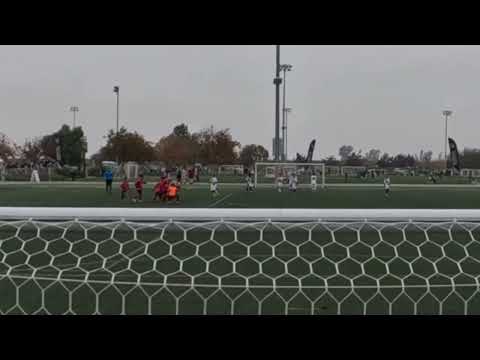 Leif's Goal in the Finals