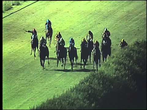 Galoppo 18/07/2015 - 4° corsa II TRIS