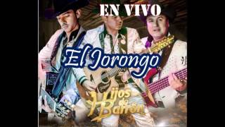 El Jorongo - Los Hijos Del Barron  [En Vivo Fiesta Privada (Disco 2012)]