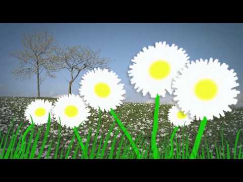 Thể hiện bởi Mai Thiên Vân