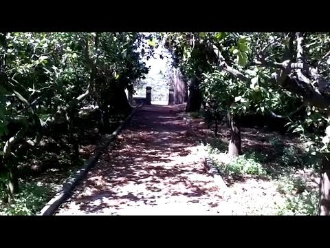 "ELISIR" di Simone Nardone a Monte Vago - Villa Placitelli Fondi (LT)