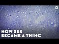 How Sex Became A Thing
