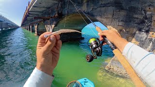 Florida Keys Bridge Fishing | Not Going Home Till I Catch Dinner | Must Be Losing My Mind