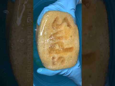 Thick and fluffy suds #firstsqueezes