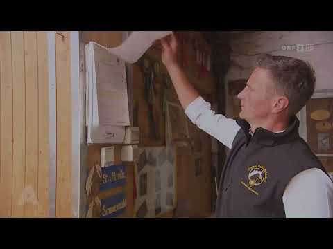 Norbert and Alexander Rier and the Haflinger horses, ORF 2 on May 23, 2024