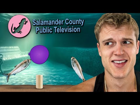 The Most Random Minigames Of All Time