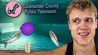 Video thumbnail image
