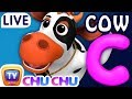 ChuChu TV Nursery Rhymes & Kids Songs Live Stream - ABC Phonics Song