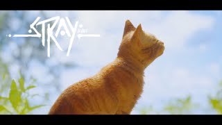 【STRAY】猫になって不思議な世界を大冒険  ＃END
