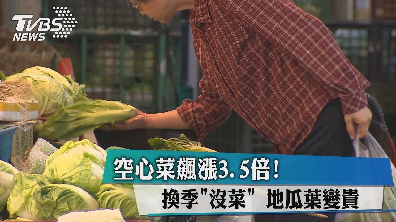 空心菜飆漲3.5倍! 換季「沒菜」地瓜葉變貴