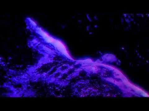 DRIP-133 ft. falls - geg