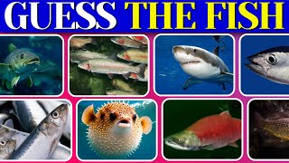 Guess the fish | How many fishes will you guess? | Fish quiz challenge