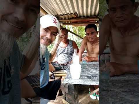 NAGALIT NA SI BAI TIMOT...BAKIT KAYA?