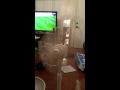 Teletubbies Windmill Spinning