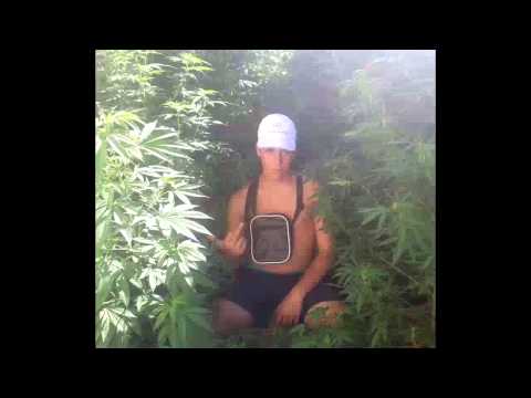 TOXICWIDOW ~1 MINUTILLO~