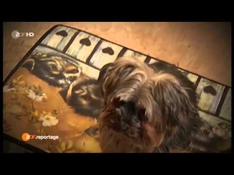 Ob man die Nägel das Gel machen kann wenn gribok ist Als den Nagel nach gribka wieder herzustellen