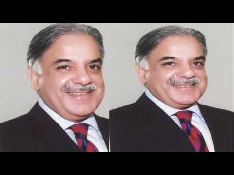 CM Punjab | Sher e Punjab | We want you back. #CMPunjab #PMLN #ShahbazSharif #Sher