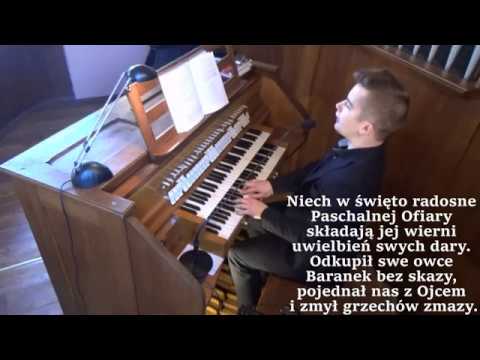 Sekwencja Wielkanocna - Niedziela Wielkanocna - Organy kościoła parafialnego w Skórzewie