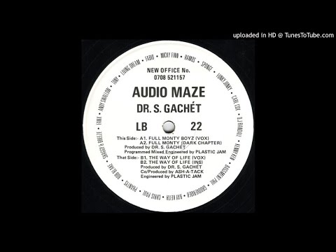 B1 - Audio Maze & Dr. S. Gachét - The Way Of Life (Vox)