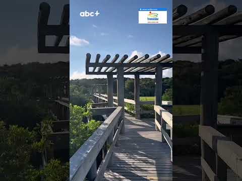 Paraíso escondido em Arroio do Sal: Trilhas e lagoa em meio à Mata Atlântica têm acesso gratuito