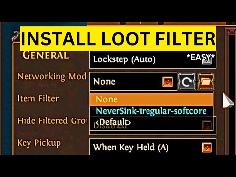 How To Install Loot Filter in Path of Exile(EASY)