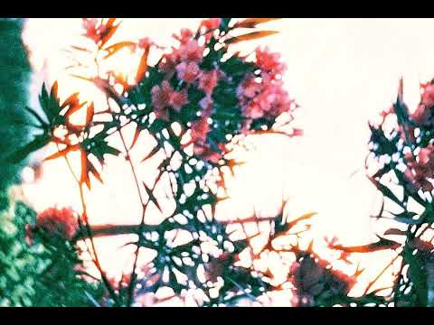 Laz Vegjas - Vreme 2