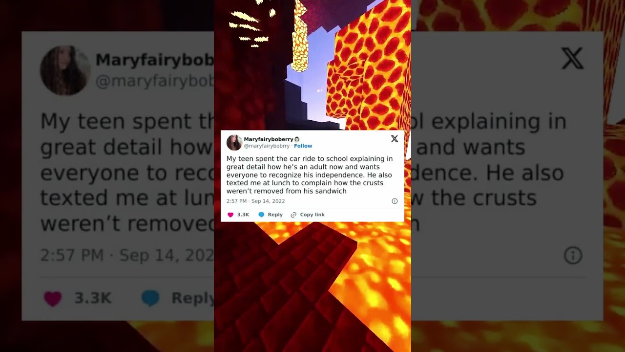 memes i stole from the internet 5