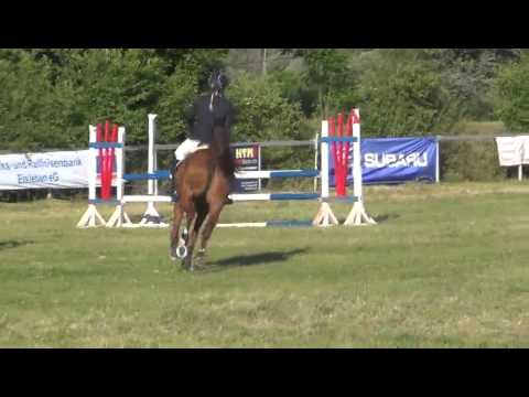 Sportpferde Matthias Keil - Chesterfield