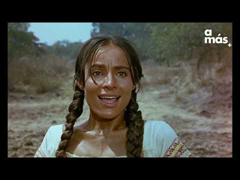 La trinchera Película Mexicana 