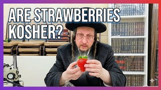 🍓 יוליש לומד את האמת על תותים — הדרך הנכונה לאכול אותם