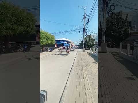 festival en San Pedro sucre