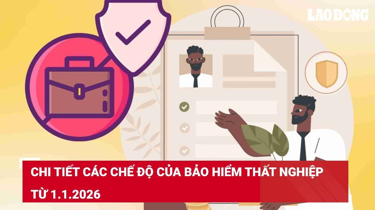 Chi tiết các chế độ của bảo hiểm thất nghiệp từ 1.1.2026