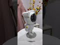 Starry Sky Astronaut Light Show Robot