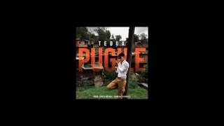 Tedua - Pugile (LYRICS)
