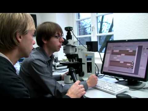 Wie werden Materialanalysen im Innoform Testservice durchgeführt?