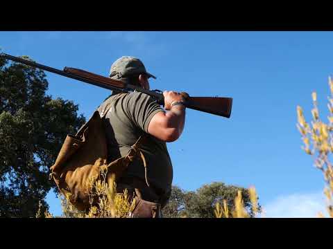 Partridges with dogs in the pachecas!!!!