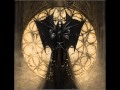 Mechanical Moth - Cathedral