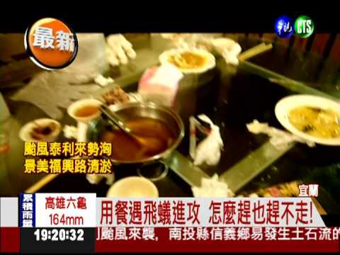 吃烤雞配飛蟻 老店環境令人作噁!