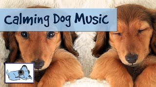 20 minutes of relaxing dog music to help with barking, crate training and crying.