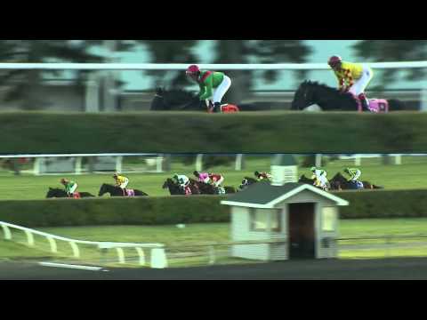 RACE REPLAY: 2015 Canadian International at Woodbine