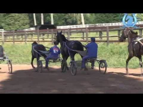 TOUR DE COUR - Vincent MARTENS nous présente ses 5 Ans