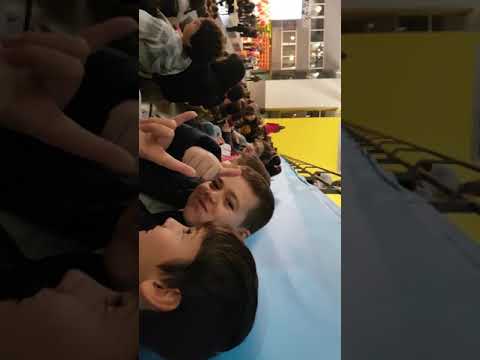 Zlatno slavejce 2017